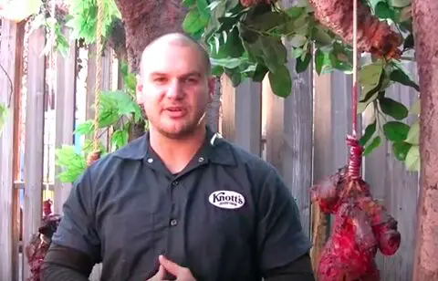 Jon Cooke update on Infected at Knott's