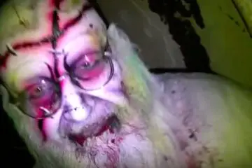 monster at dark harbor