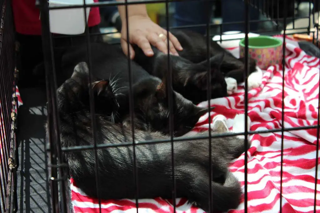 Photo by Jessica Peralta