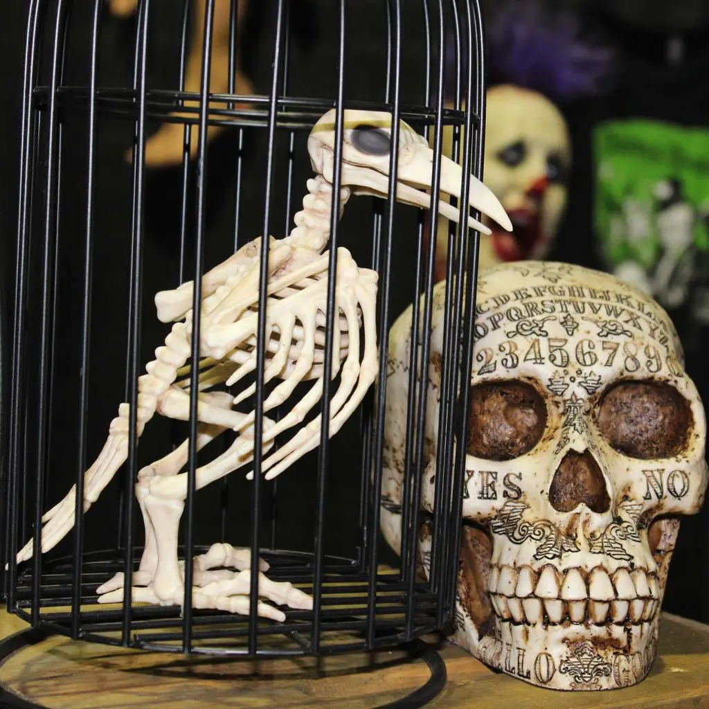 Photo by Jessica Peralta