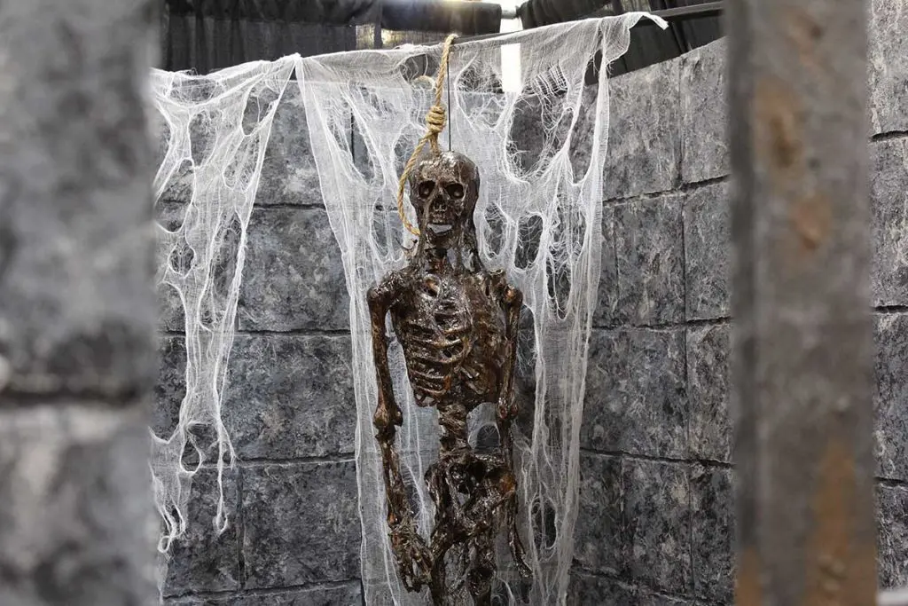 Photo by Jessica Peralta