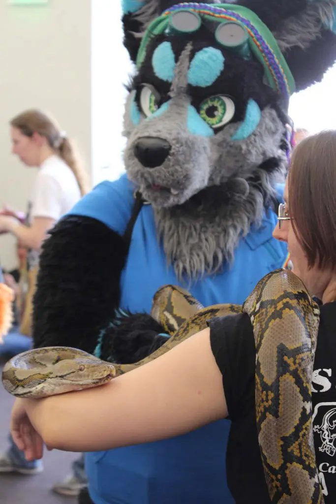 Photo by Seth Keichline