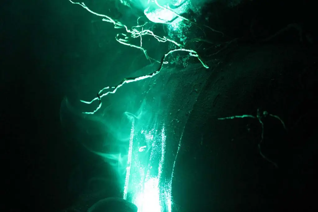 Photo by Jessica Peralta