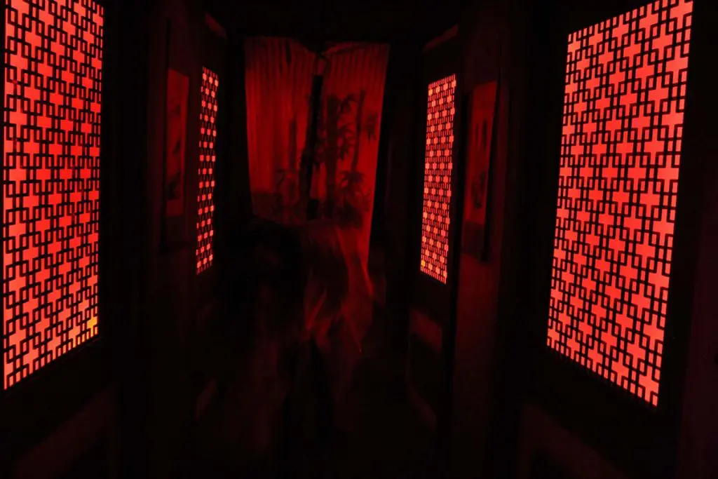 Photo by Jessica Peralta