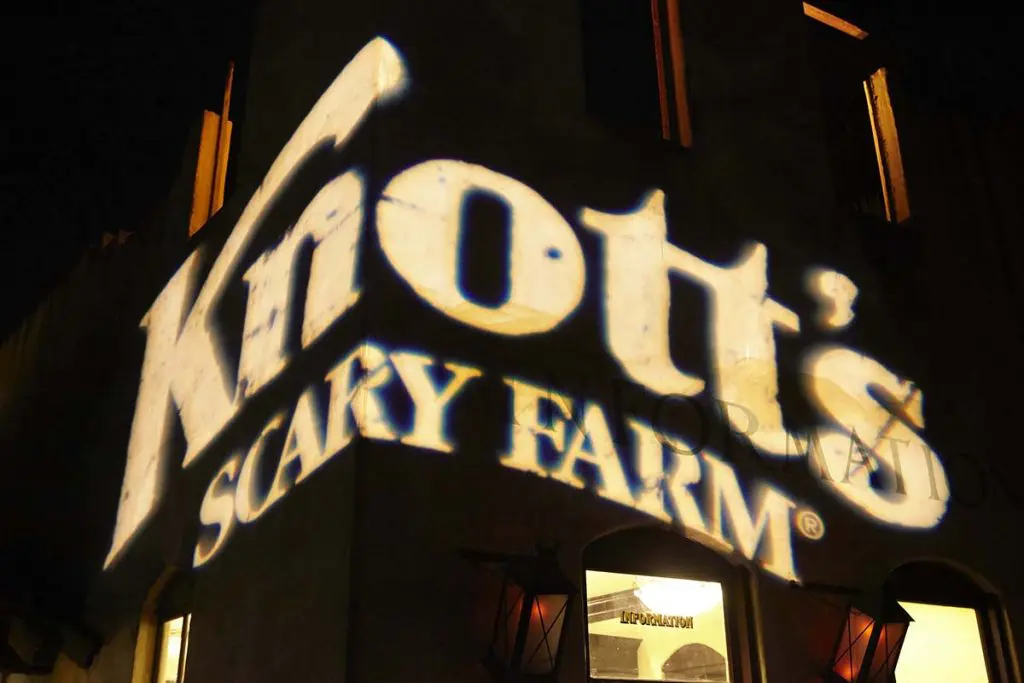 Photo by Ralph Palumbo