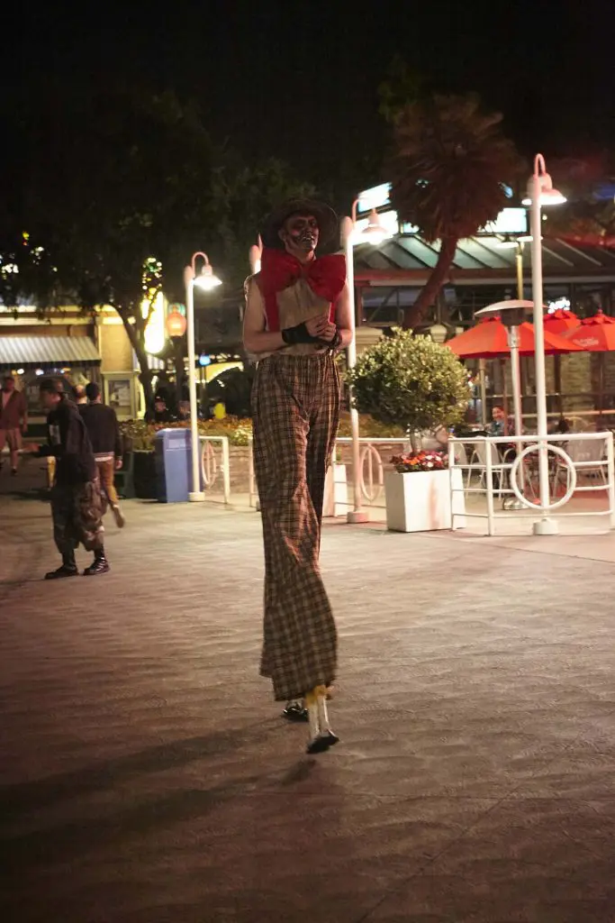 Photo by Ralph Palumbo