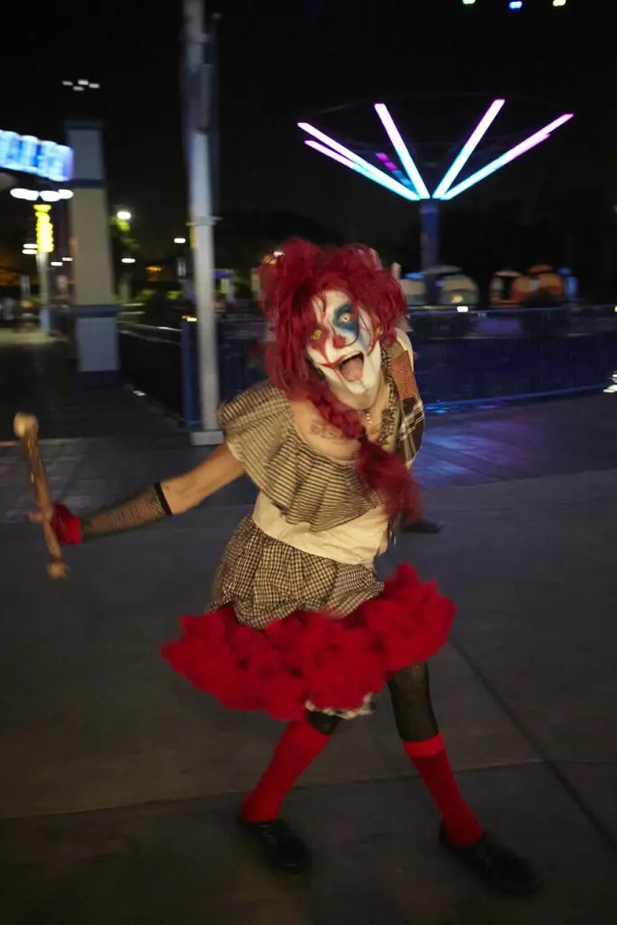 Photo by Ralph Palumbo