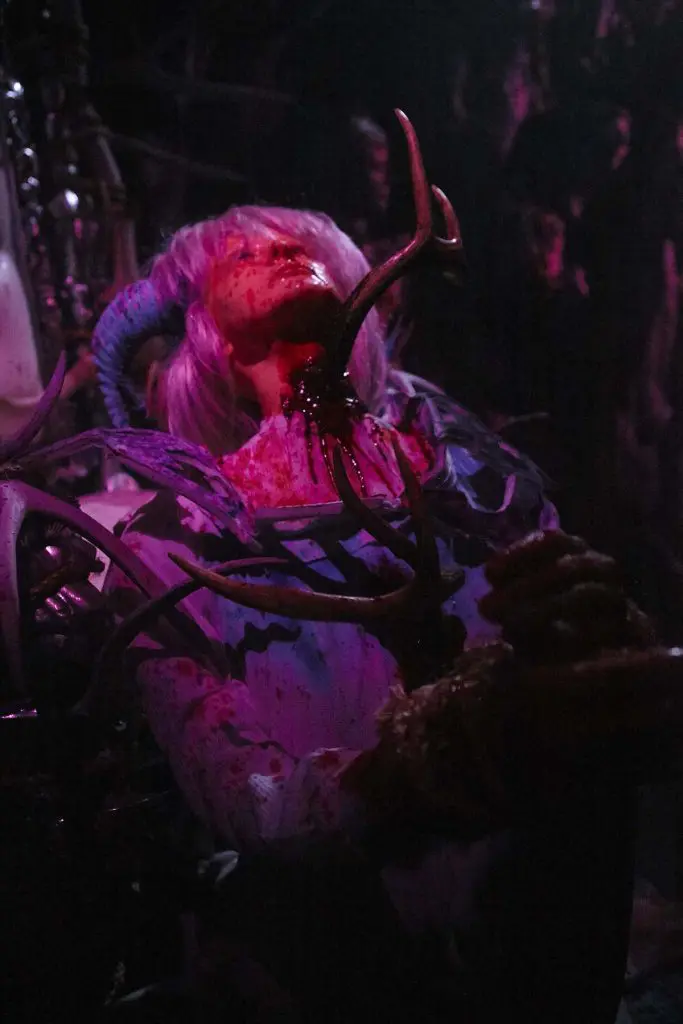 Photo by Ralph Palumbo