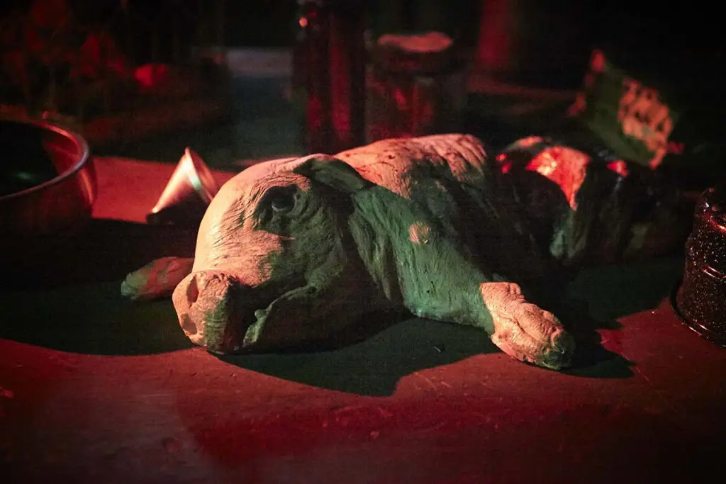 Photo by Ralph Palumbo