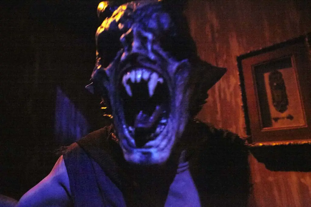 Photo by Ralph Palumbo