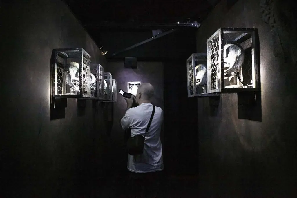 Photo by Ralph Palumbo