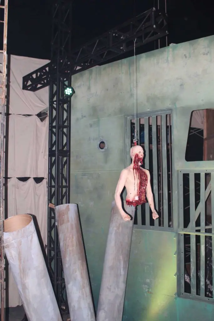 Photo by Franziska Cichy-Ramirez