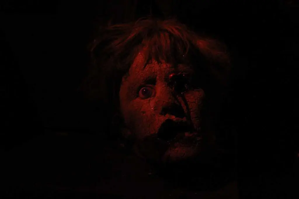 Photo by Franziska Cichy-Ramirez