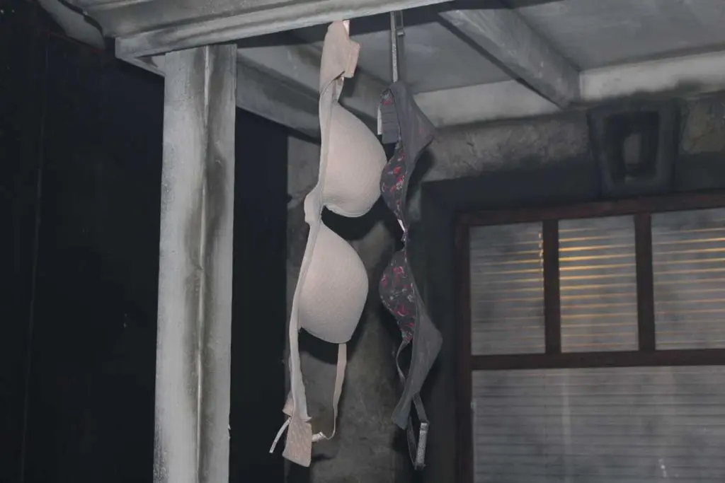 Photo by Jessica Peralta