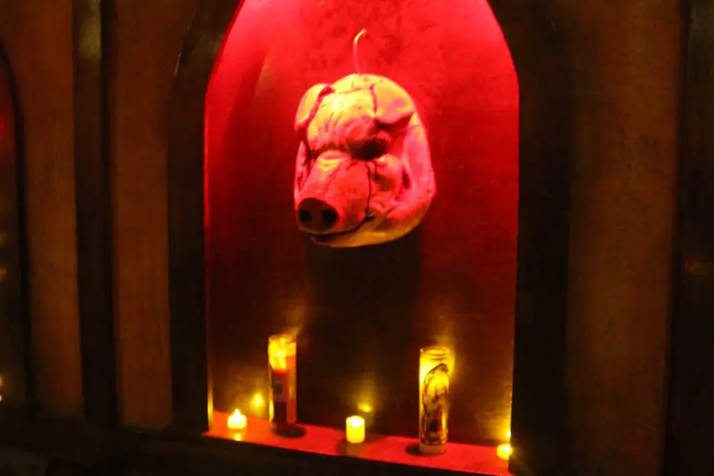 Photo by Jessica Peralta