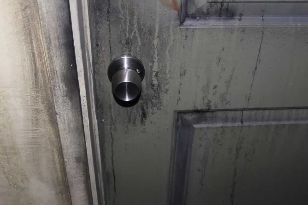 Photo by Jessica Peralta