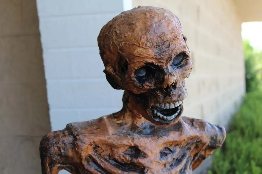 Photo by Jessica Peralta