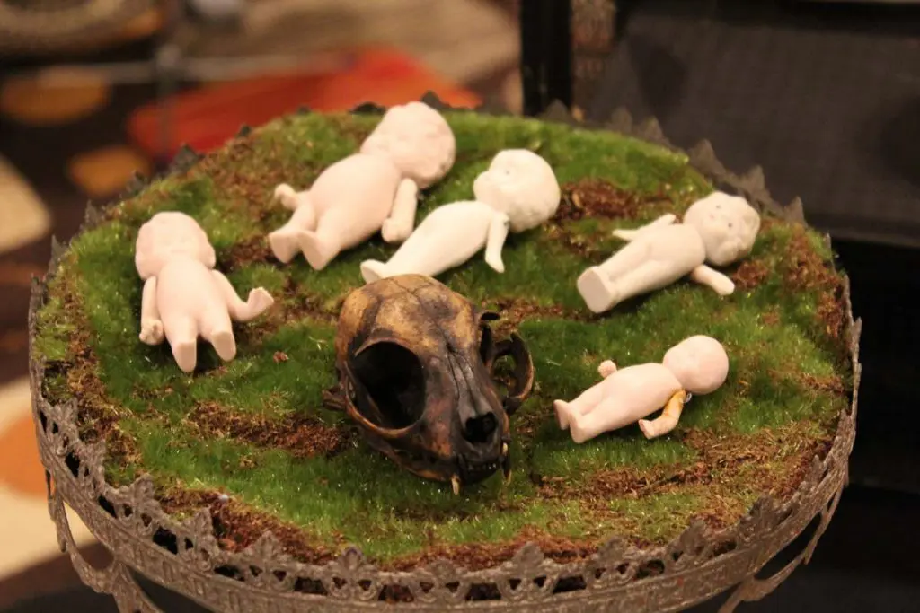 Photo by Jessica Peralta