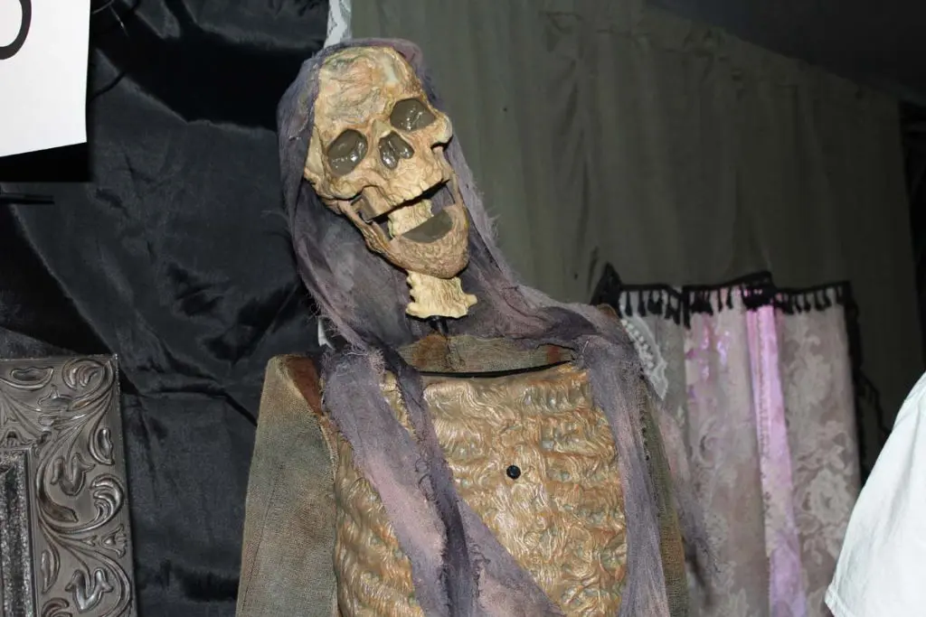 Photo by Jessica Peralta