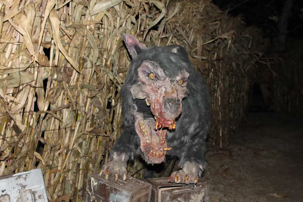 Photo by Jessica Peralta