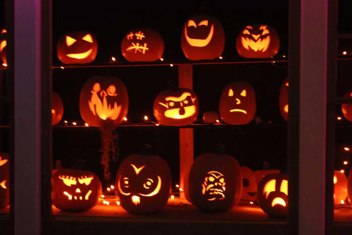 Photo by Jessica Peralta