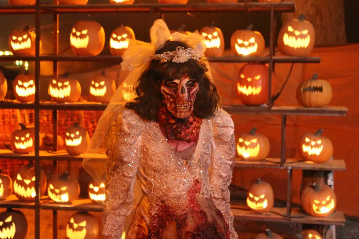 Photo by Jessica Peralta