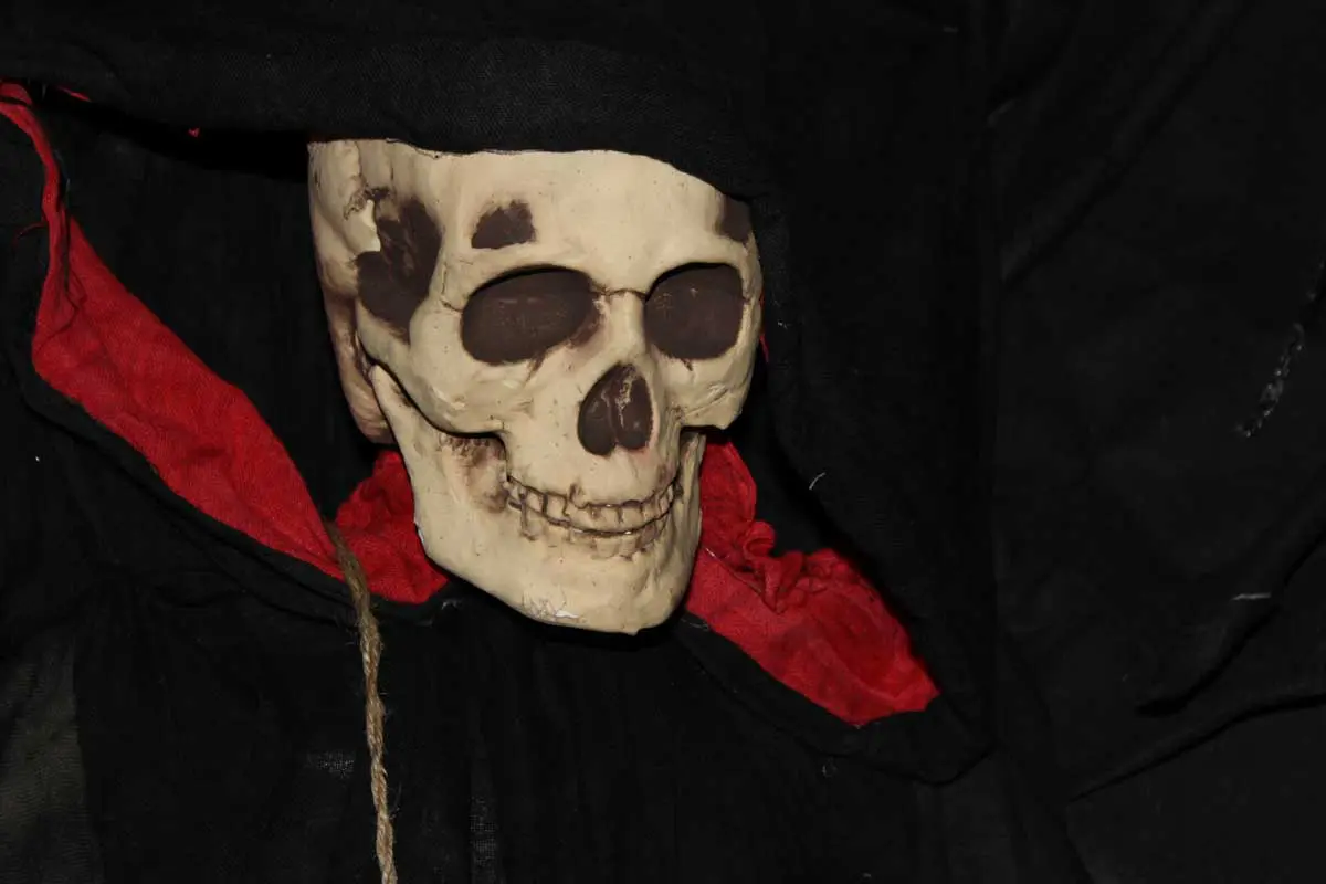 Photo by Jessica Peralta