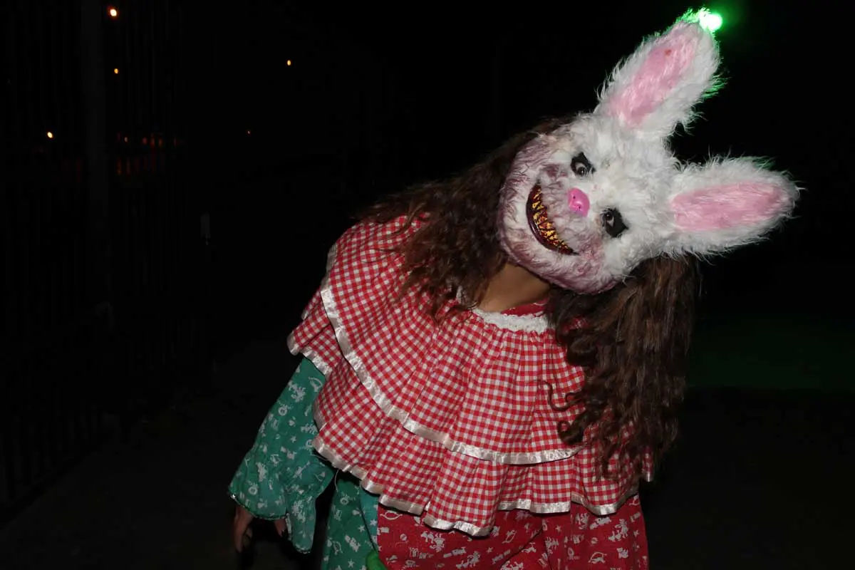 Photo by Jessica Peralta