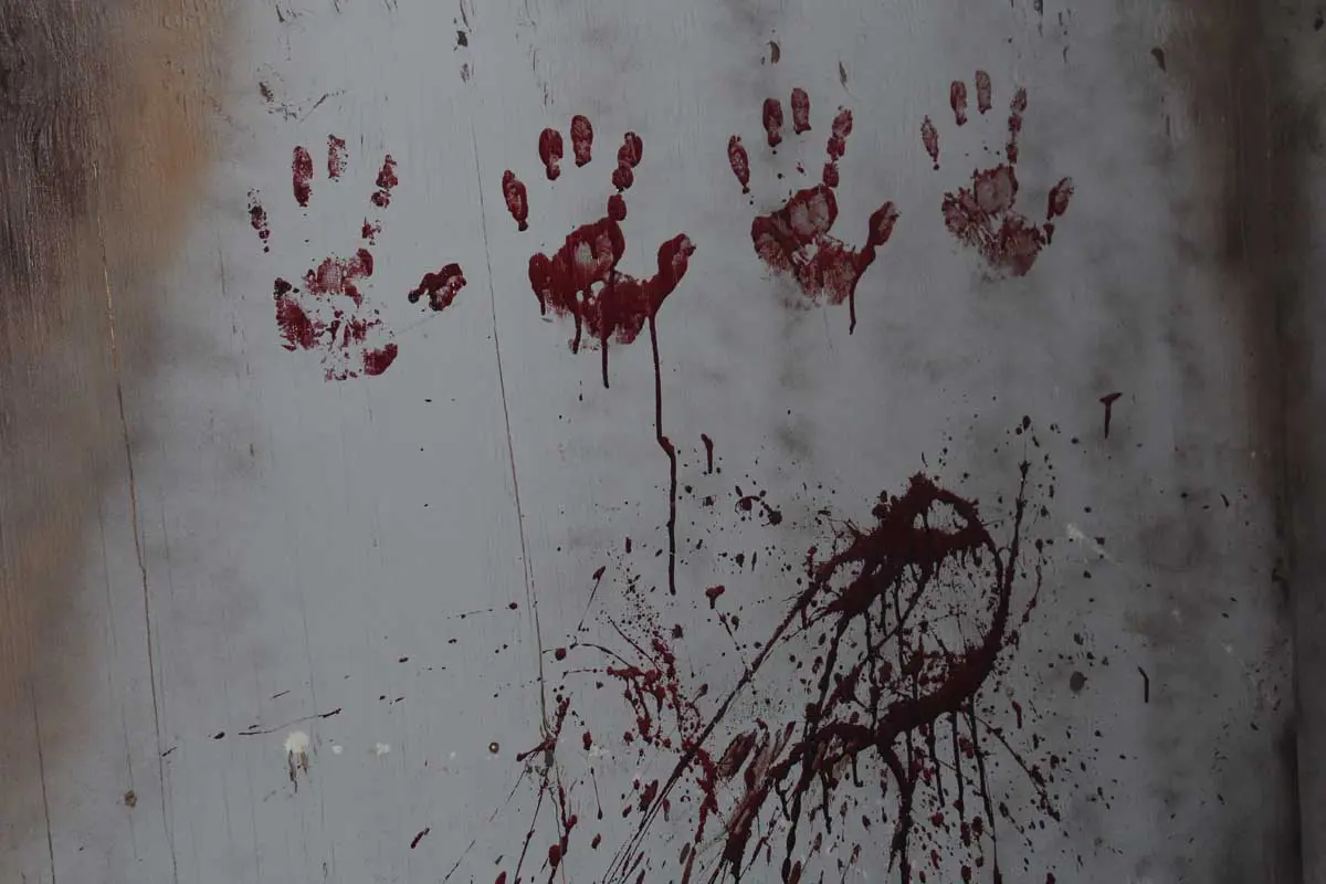 Photo by Jessica Peralta