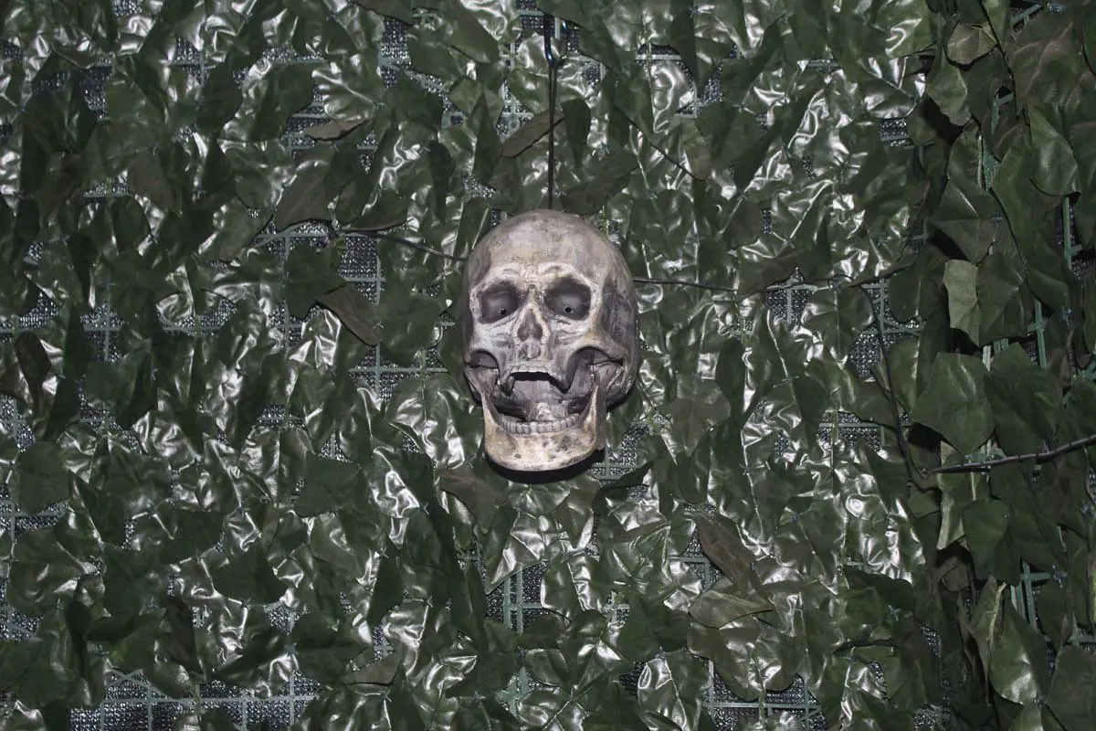 Photo by Jessica Peralta