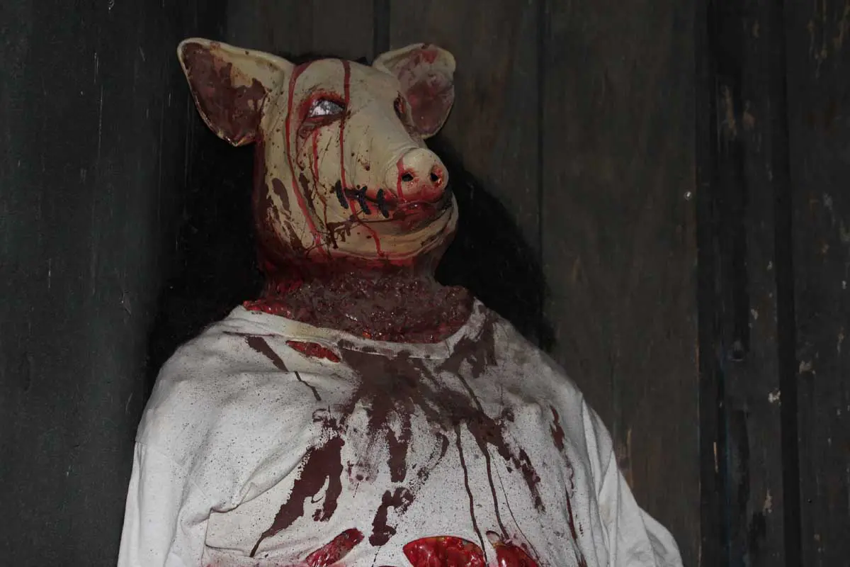 Photo by Jessica Peralta