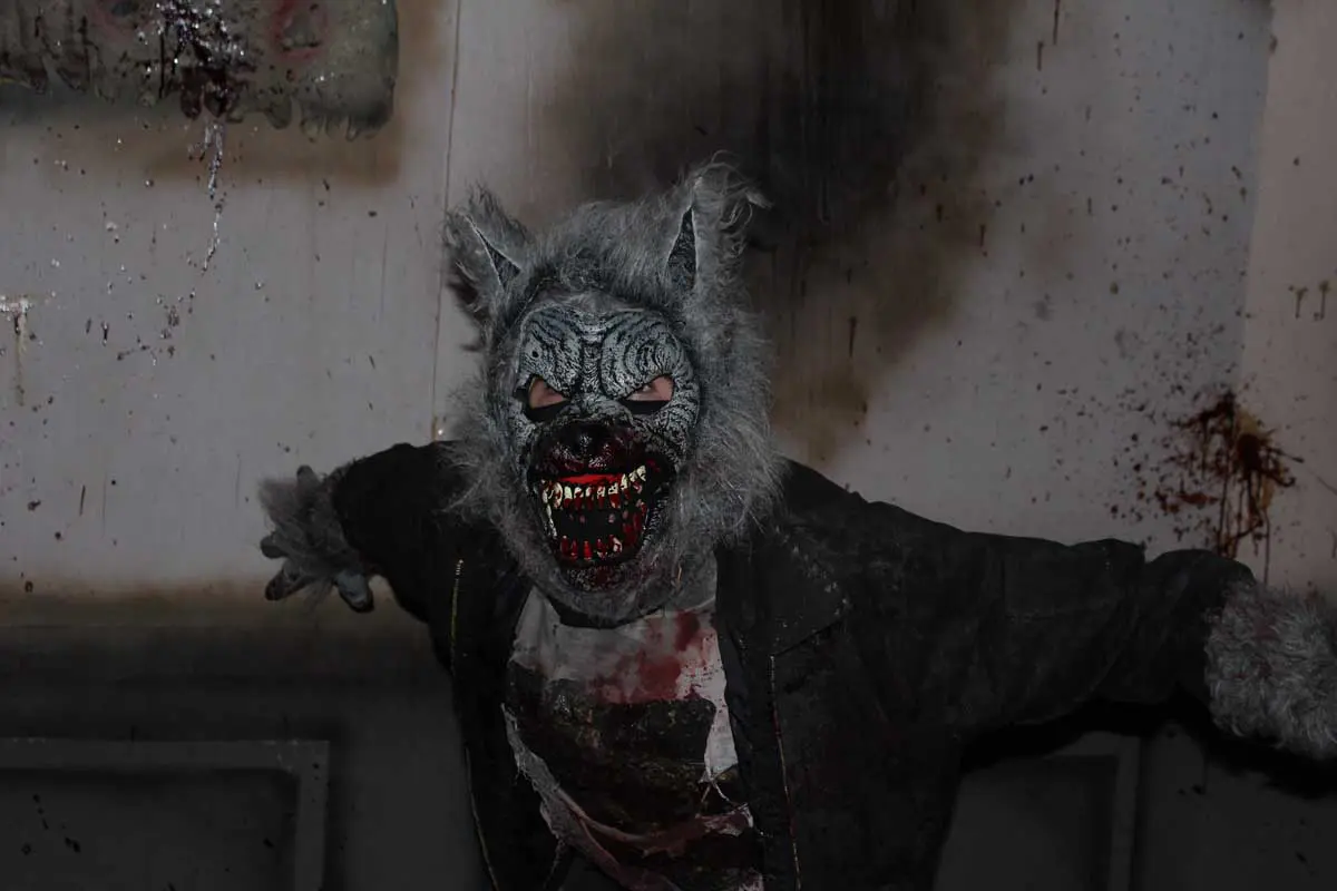 Photo by Jessica Peralta