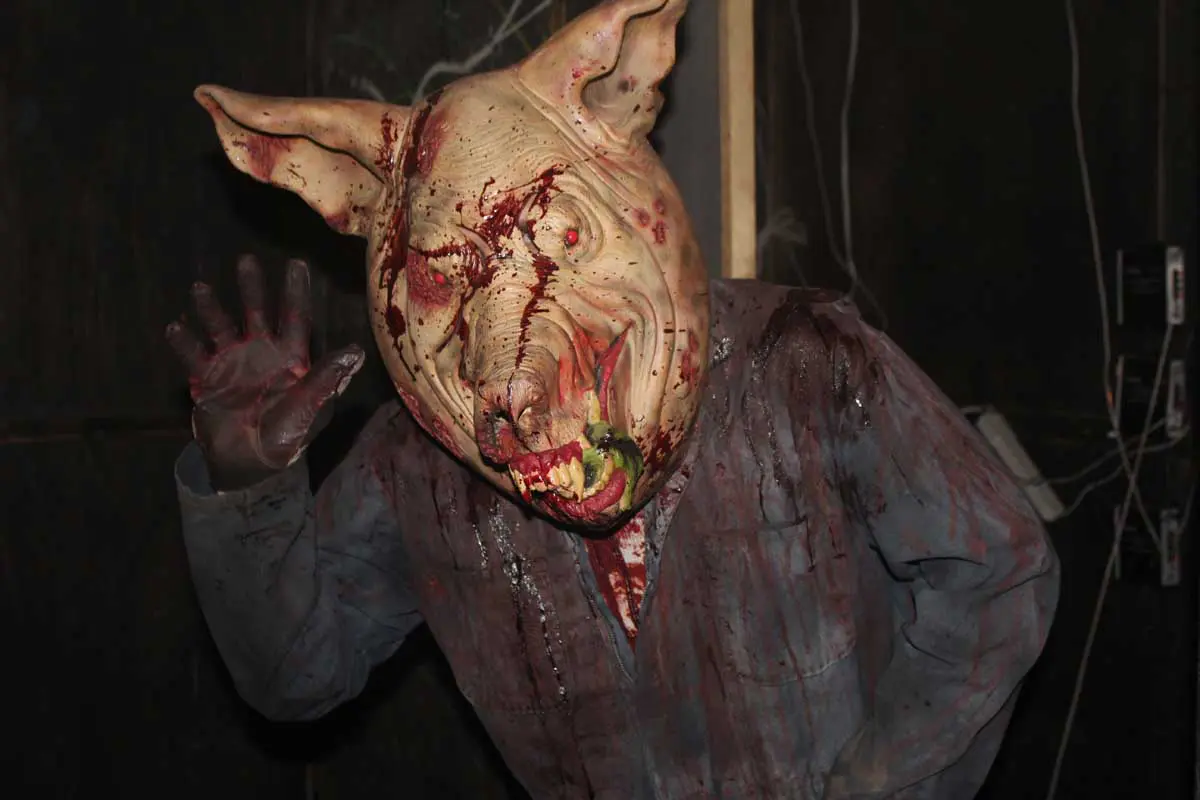 Photo by Jessica Peralta