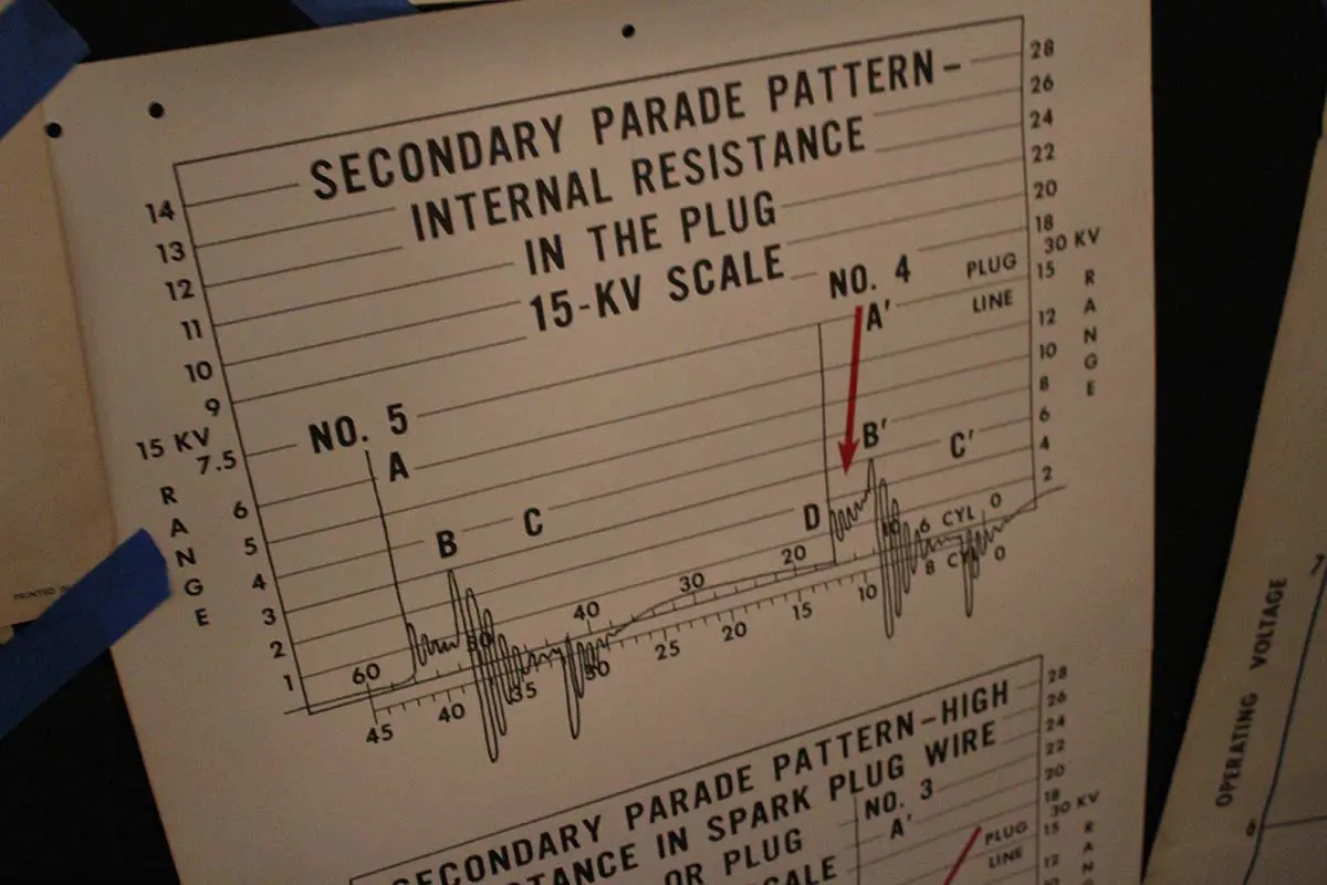 Photo by Jessica Peralta