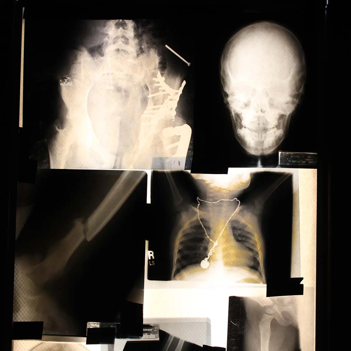 Photo by Jessica Peralta