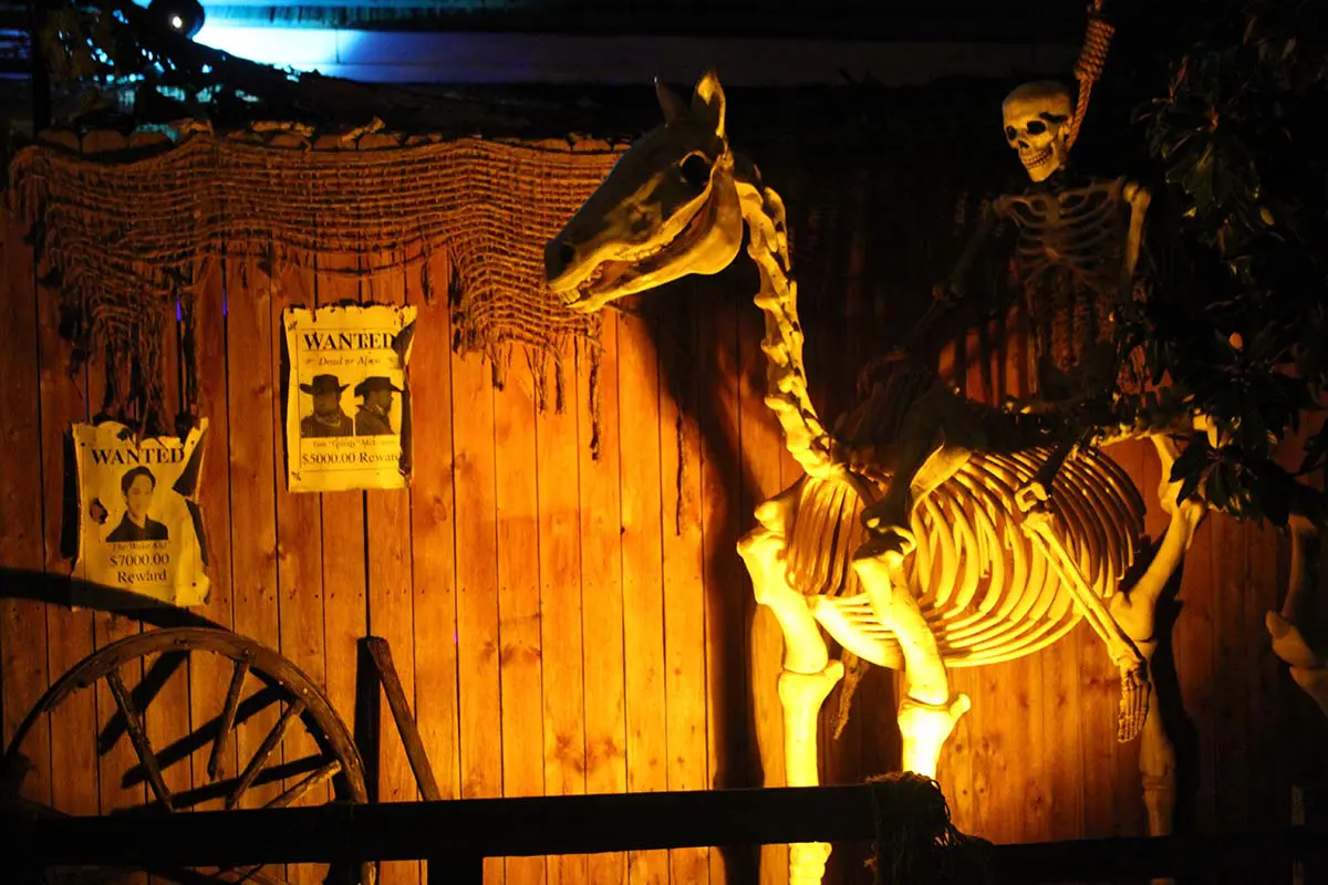 Photo by Jessica Peralta