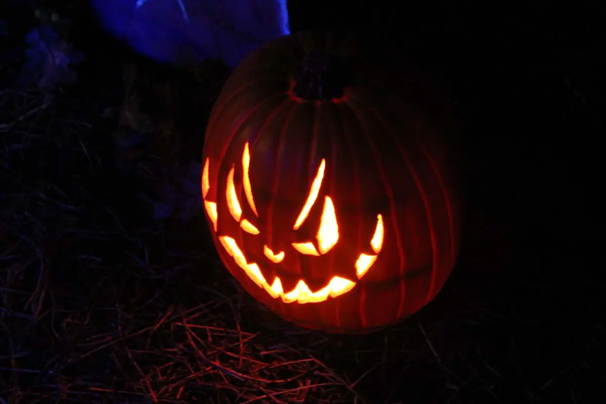 Photo by Jessica Peralta