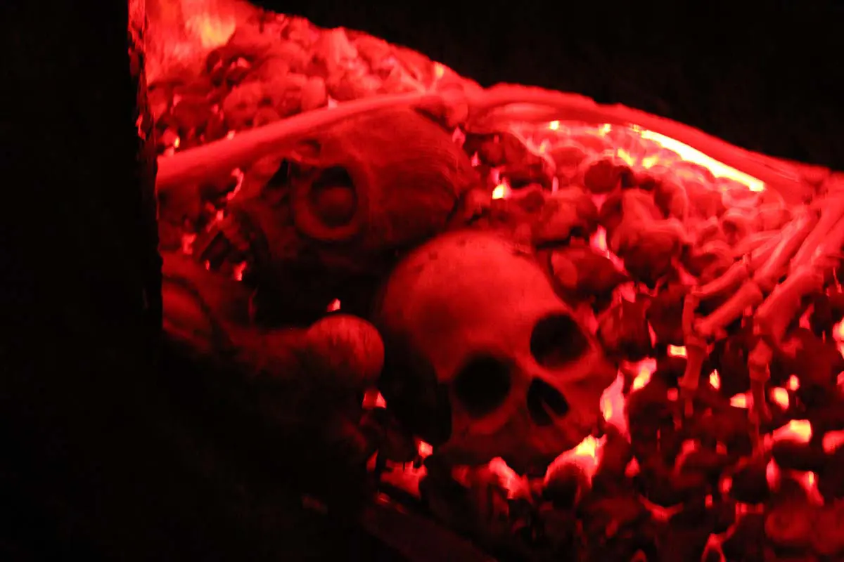 Photo by Jessica Peralta