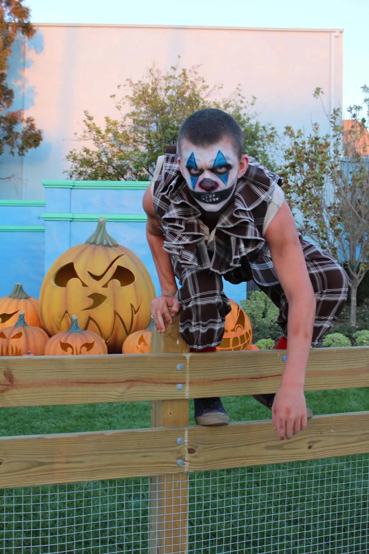 Photo by Courtney Croitori