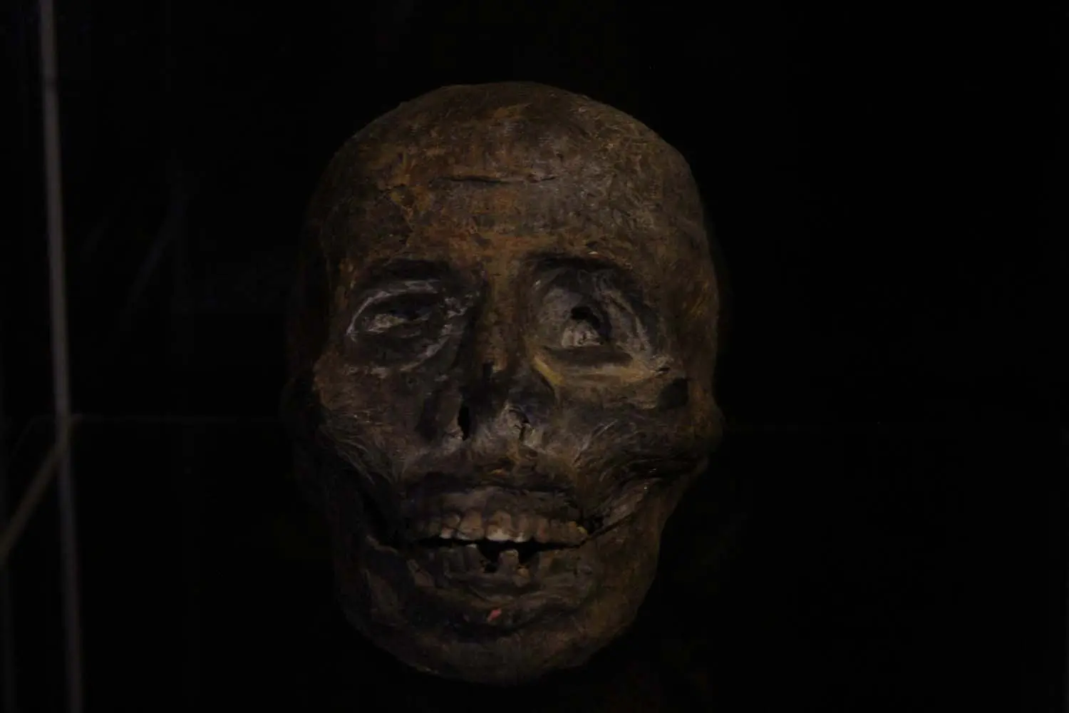 Artifacts in the Revenant Room at The Queen Mary 