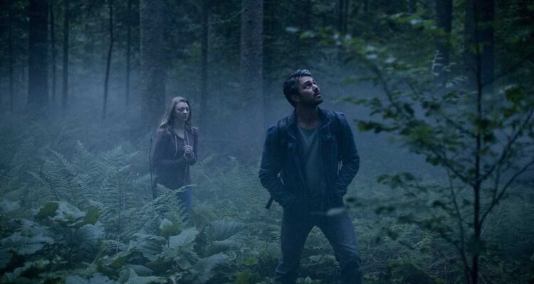 Image of The Forest Movie